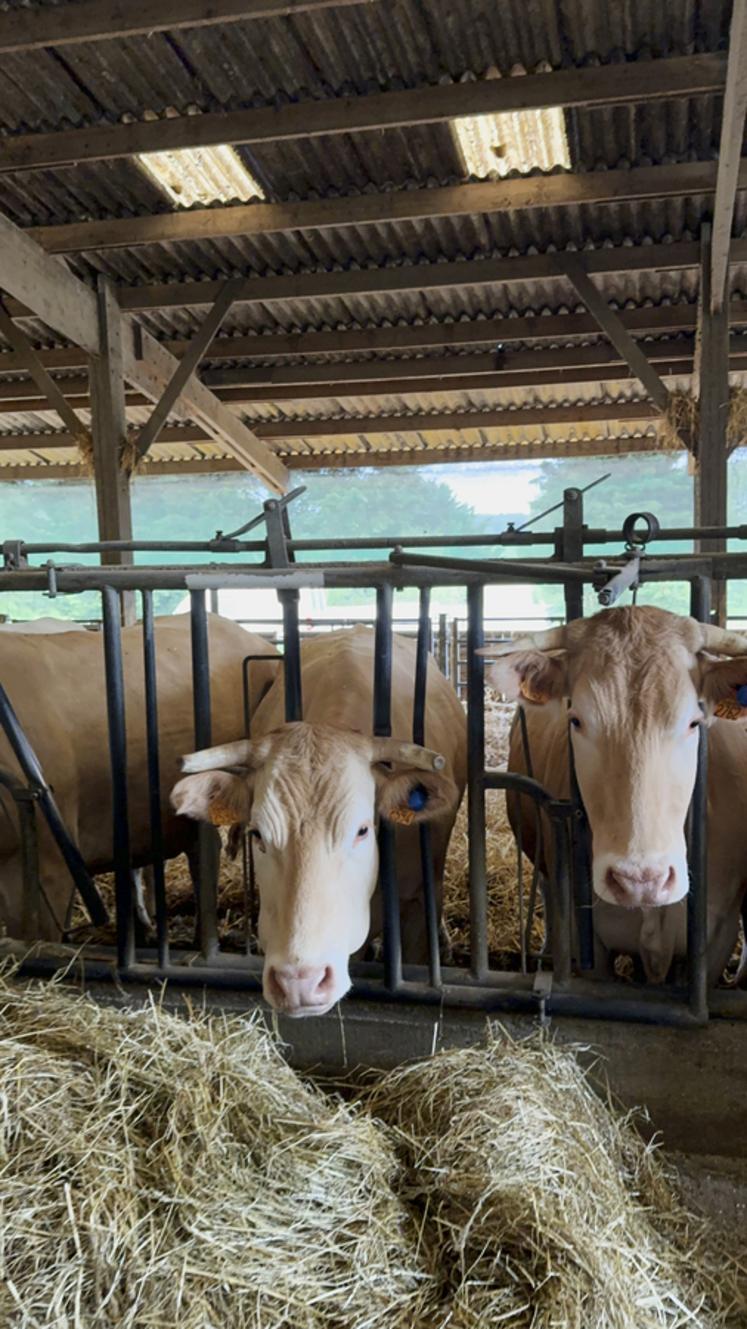 La chambre d'Agriculture de région Île-de-France organise des journées portes ouvertes dans des élevages innovants.