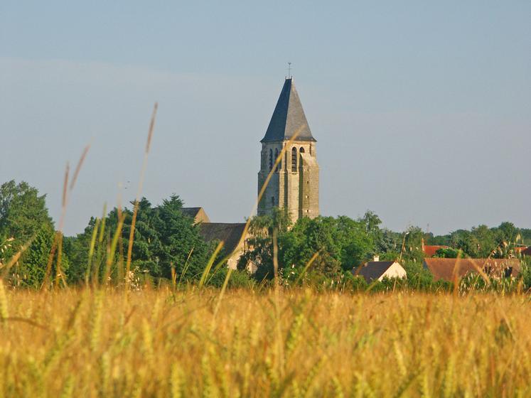 Sonchamp, commune des Yvelines, accueille cette année le Festival de la terre.