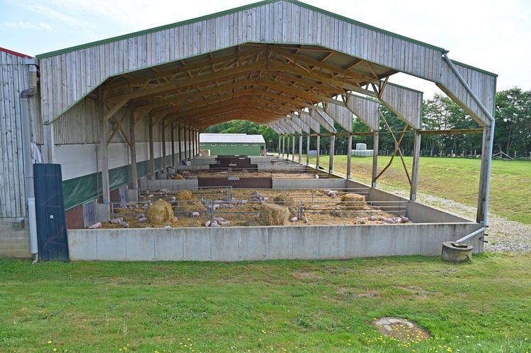 Avec ses 1 400 places à l'engraissement, la porcherie abrite quatre races de porcs : large white, landrace, piétrain et duroc.