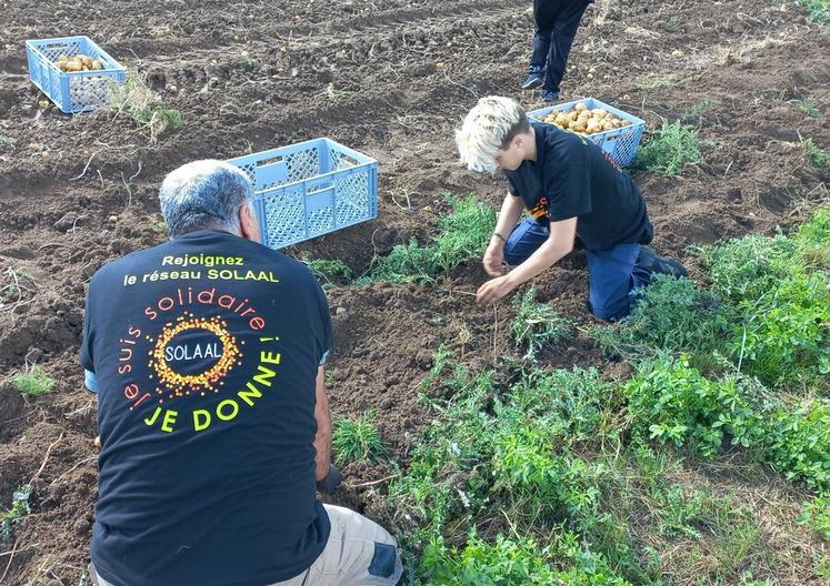 Les 10es Journées nationales du don agricole (JNDA) se tiennent ce mois-ci.