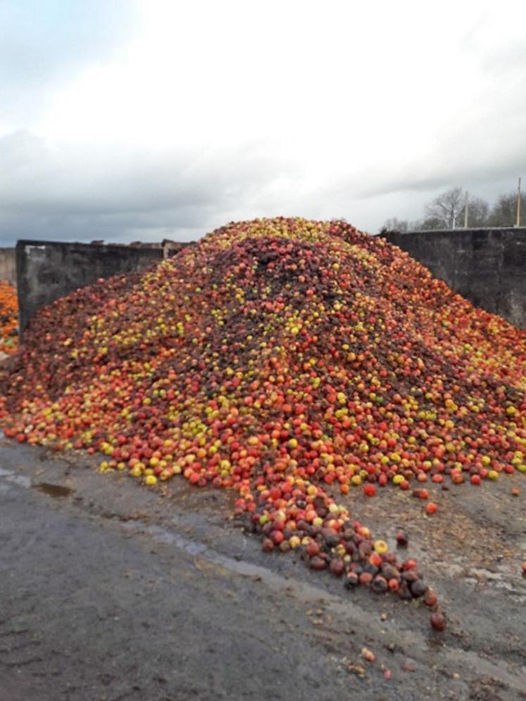 Les volumes de déchets peuvent être conséquents. Identifier les gisements est nécessaire car il est possible, via la méthanisation, le compostage… 