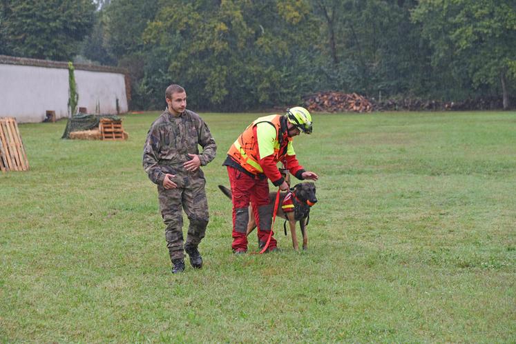 L'équipe cynotechnique des sapeurs-pompiers du Loiret a fait quelques démonstrations de ses savoir-faire avec ses chiens.