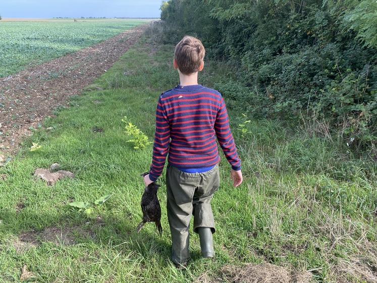 En Seine-et-Marne, les amateurs de chasse au petit gibier pourront en profiter à partir de ce dimanche 15 septembre.