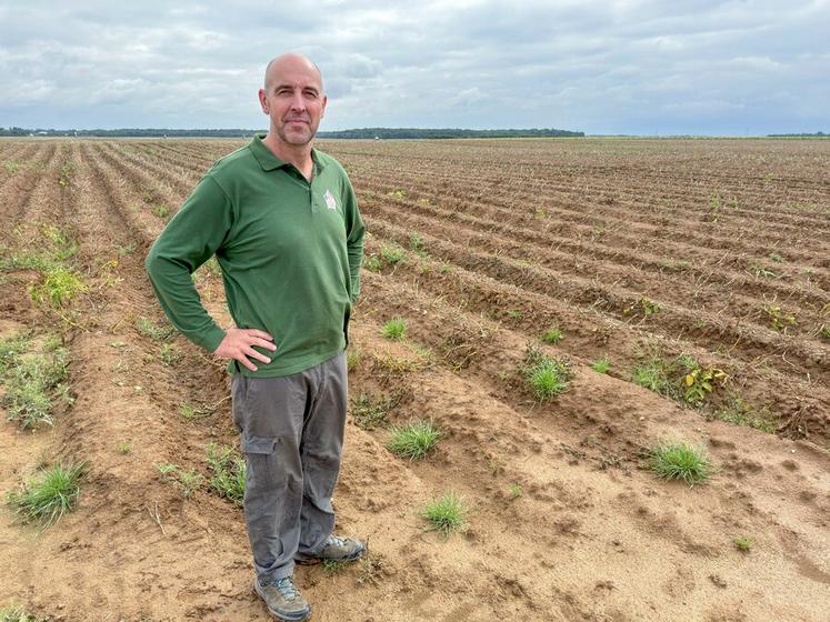 Grégoire Jaquemet, producteur de pommes de terre à Arnouville.