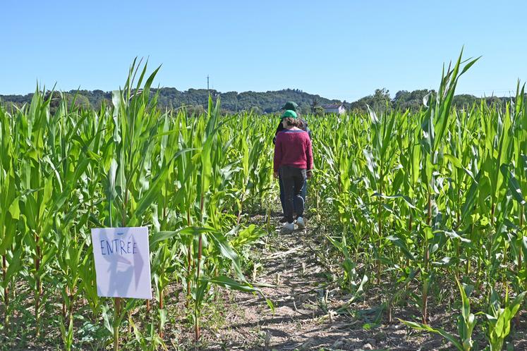 Les activités n'ont pas manqué lors de ce Festi'campagne organisé par le canton Savigny/Montoire. Le labyrinthe de maïs a notamment amusé de nombreux visiteurs. 