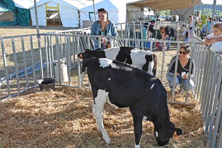 Grâce à la traditionnelle mini-ferme, petits et grands ont apprécié de caresser les animaux. 