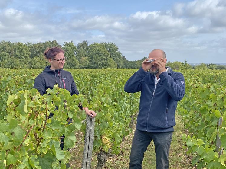 Durant la visite, Elena Gilbert, conseillère viticole à la chambre d'Agriculture de Loir-et-Cher, a donné les résultats de l'évaluation de maturité sur différentes parcelles de vignes de l'appellation. 