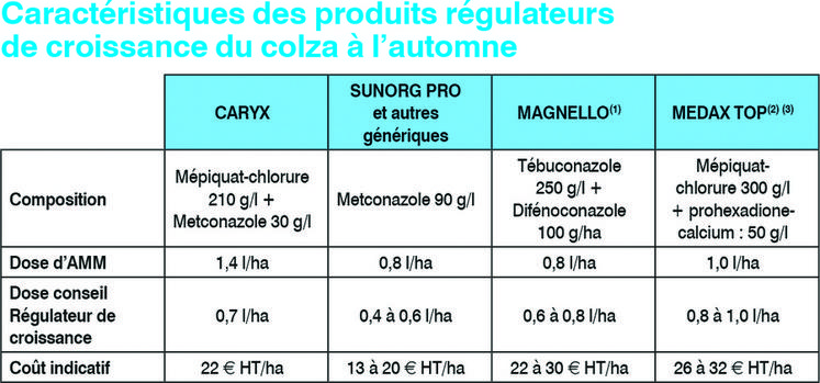 L'application du régulateur de croissance est optimale au stade 6 feuilles du colza.