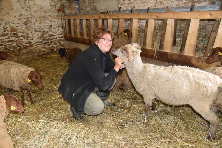 Villeneuve-les-Bordes, mercredi 11 septembre. Katia Alves a rentré en bergerie une partie de ses animaux afin de les préserver au maximum de la FCO.