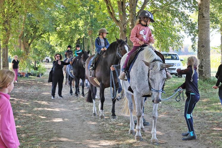 La mini-ferme et les baptêmes de poneys et chevaux ont séduit les plus jeunes visiteurs. 