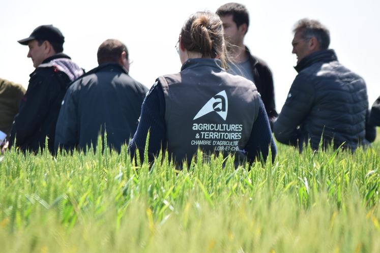 La Chambre d’agriculture de Loir-et-Cher accompagne les agriculteurs et leur donne des conseils pour la campagne à venir. 