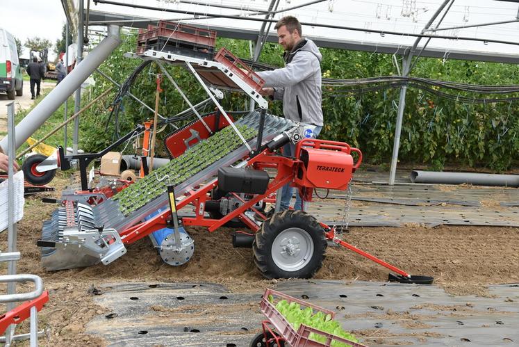 Démonstration d'une planteuse à mâches.