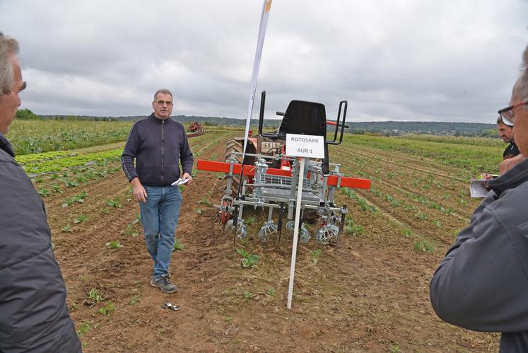 La bineuse Rotosark permet d'arracher les adventices au plus près du rang.