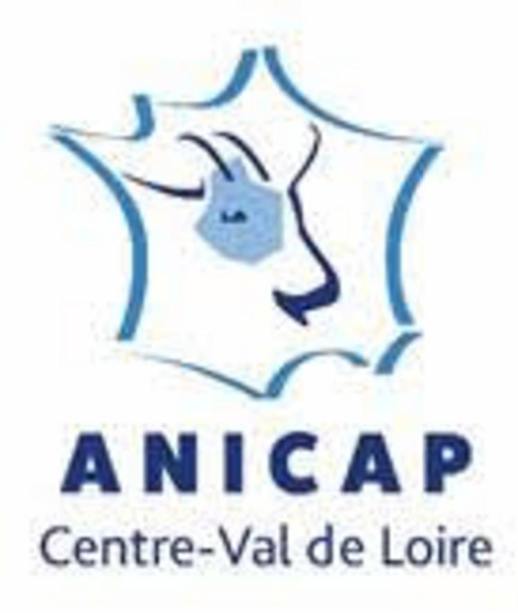 Nouveau logo Anicap CVL