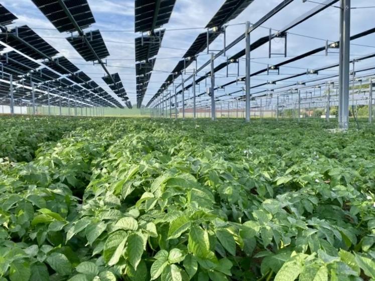 Première observation faite cette année : l’hygrométrie est plus contenue sous la canopée.