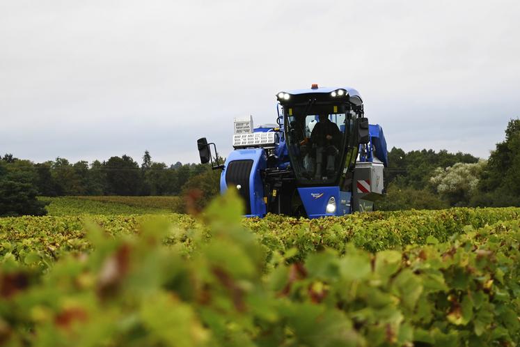 Les vendanges ont commencé mi-septembre au sein des vignes du domaine Biet et Hugo Biet, jeune vigneron installé, revient sur ces vendanges compliquées. 