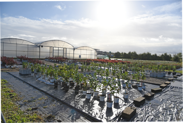 Le CDHR Centre-Val de Loire développe des méthodes, des stratégies et des produits afin d’acquérir des références techniques pour la filière.