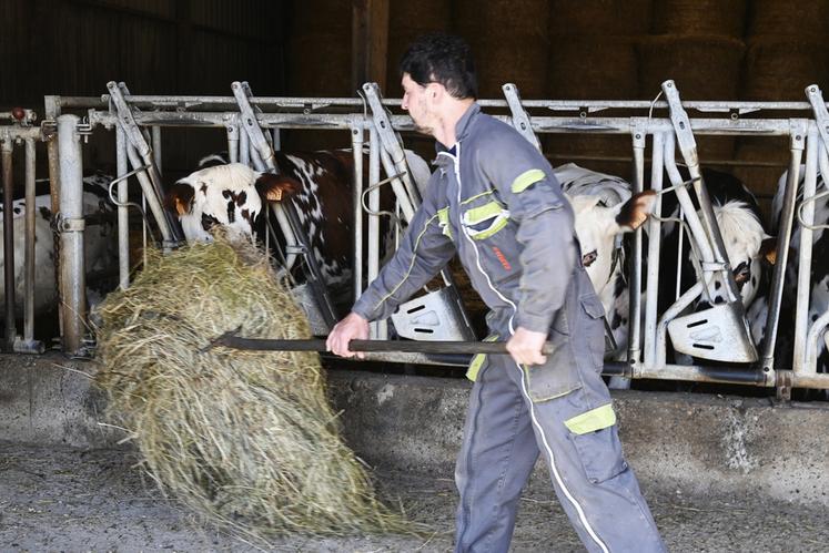 Depuis le début de l'année, une aide à hauteur de 49 euros par jour de remplacement a été mise en place dans le cadre du dispositif Bien vivre en zone rurale.