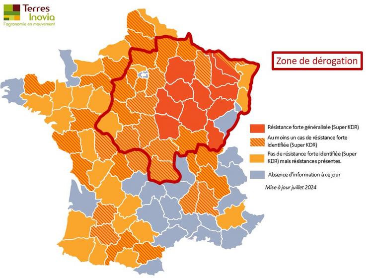 Le Minecto Gold bénéficie sur colza d’une dérogation 120 jours du 25 septembre au 31 décembre 2024 dans la zone entourée de rouge.