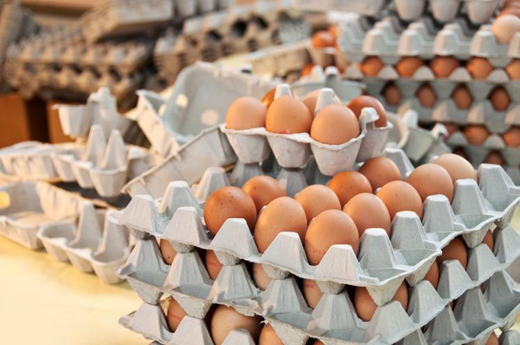 Une formation sur les normes d'hygiène pour les producteurs d'œufs est organisée le 20 novembre au Mée-sur-Seine (Seine-et-Marne).