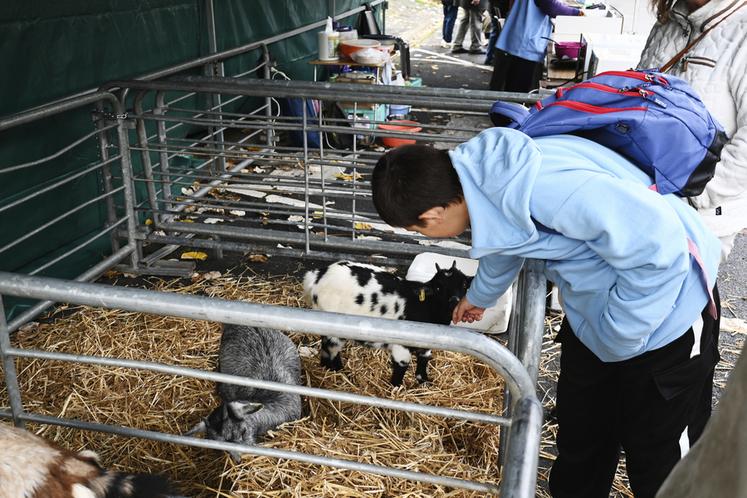 D'autres animaux étaient de la partie, notamment des chèvres qui ont attendri enfants comme adultes.