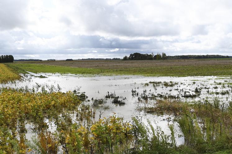 De fortes précipitations sont tombées en Loir-et-Cher en milieu de semaine dernière, notamment en Vendômois avec une crue qui a inondé de nombreuses parcelles agricoles.