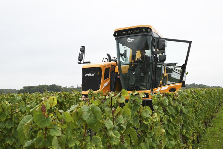 La machine à vendanger a été testée en conditions réelles par Baptiste et Alain Chéry, vignerons du Domaine de la Champinière, à Cour-Cheverny. 