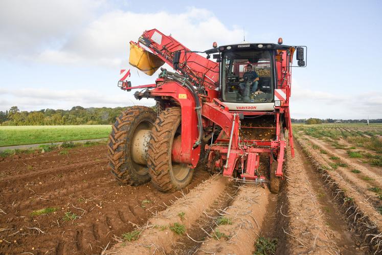 Lundi 14 octobre, à Arnouville. Trois machines ont été mobilisées pour ce chantier d'arrachage chez Grégoire Jaquemet, dont cet automoteur Grimm.