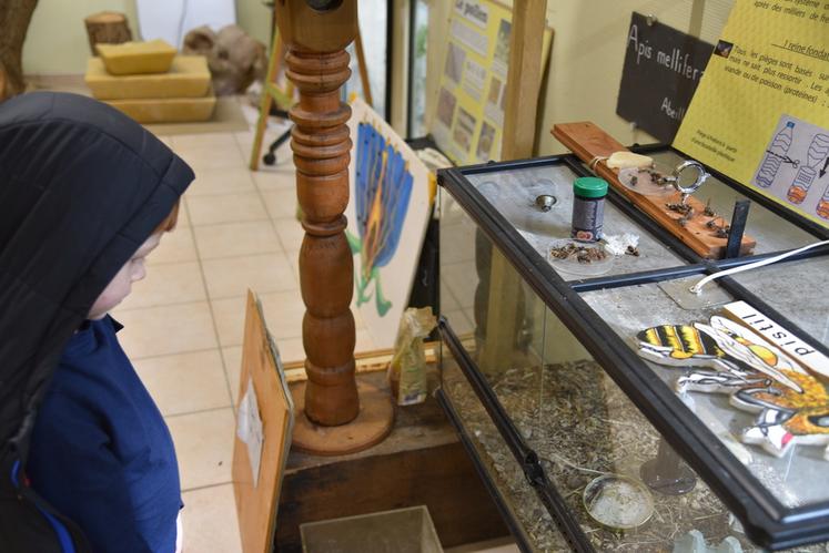 À la miellerie du Gâtinais (Essonne), des visites des ruches étaient organisées ; un espace pédagogique exposait les conditions de production du miel. 