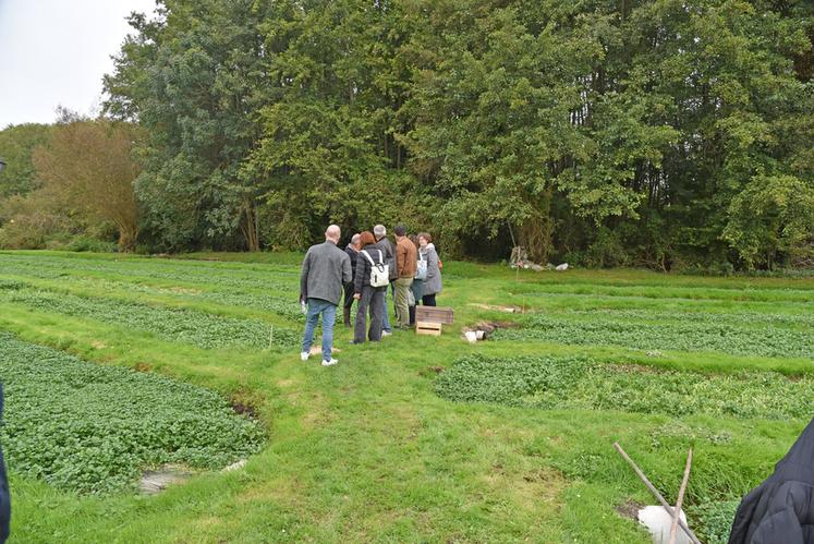 À la cressonnière du Moulin du Ruisseau (Essonne), de nombreux visiteurs ont pu comprendre les modalités de cette production si particulière, avant de déguster une soupe ou de la charcuterie au cresson.