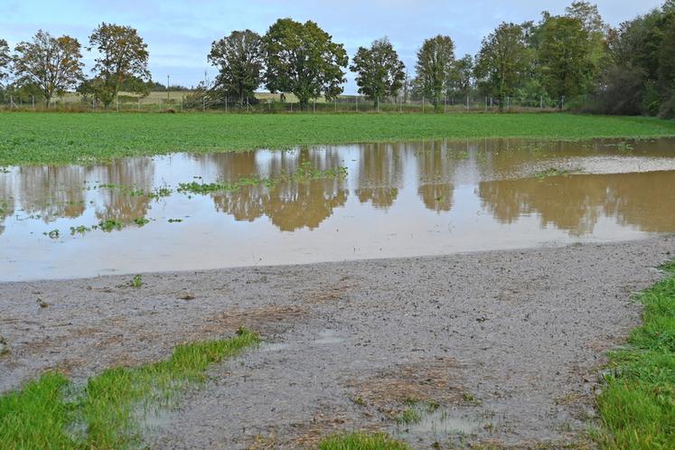 À Saint-Lubin-en-Vergonnois, une parcelle agricole était noyée par les eaux, vendredi 18 octobre dernier, après des pluies incessantes et continues la veille. 