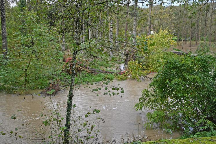En forêt à Molineuf, la terre a été noyée par les eaux et seuls les arbres surplombent la vallée qui est totalement inondée. 