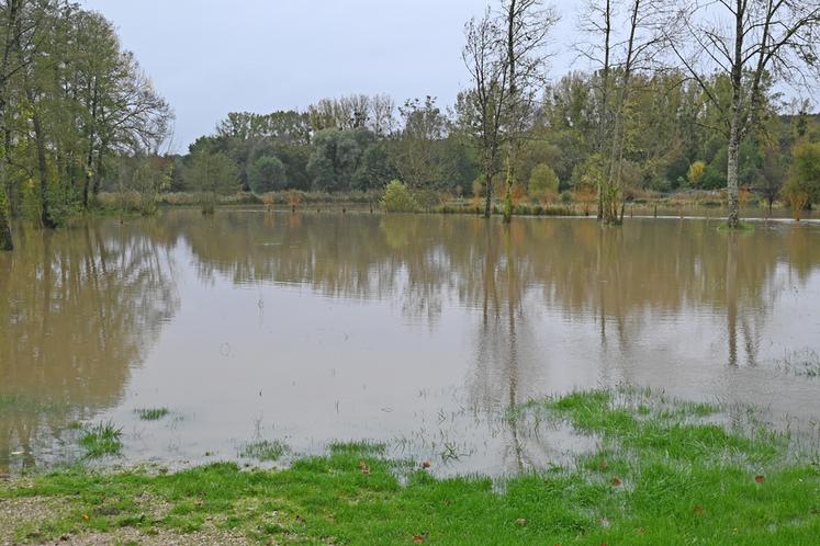 Habituellement, des moutons y pâturent, mais en ce vendredi 18 octobre au matin, l'éleveur est venu chercher son troupeau d'ovins à Chambon-sur-Cisse. 