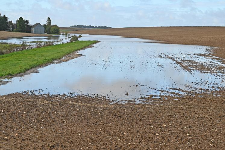 Nombreuses parcelles agricoles, pas encore semées, sont inondées en Loir-et-Cher, comme à Landes-le-Gaulois, où des terres agricoles ont été piégées par les eaux. 