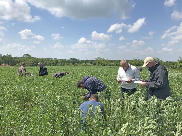 Huit formations biodiversité ont été proposées par la Chambre en 2024.
