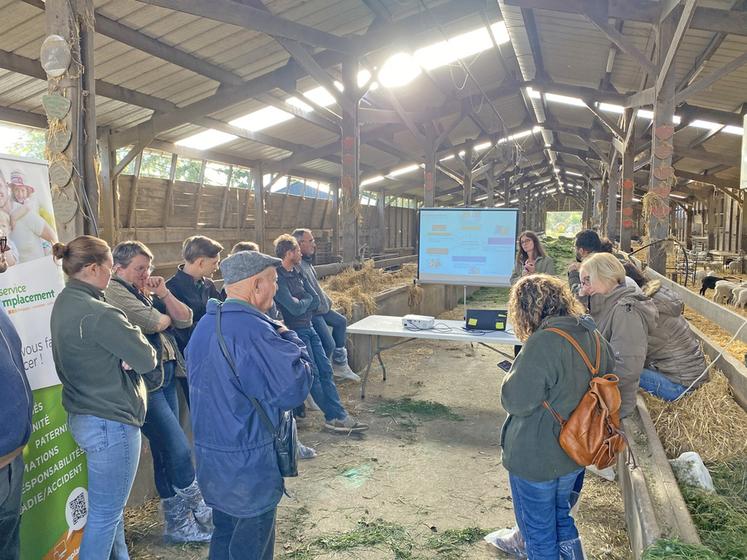 Loïc Mercier élève 650 brebis allaitantes de races romanov et romane, ainsi qu’une trentaine de vaches salers.
