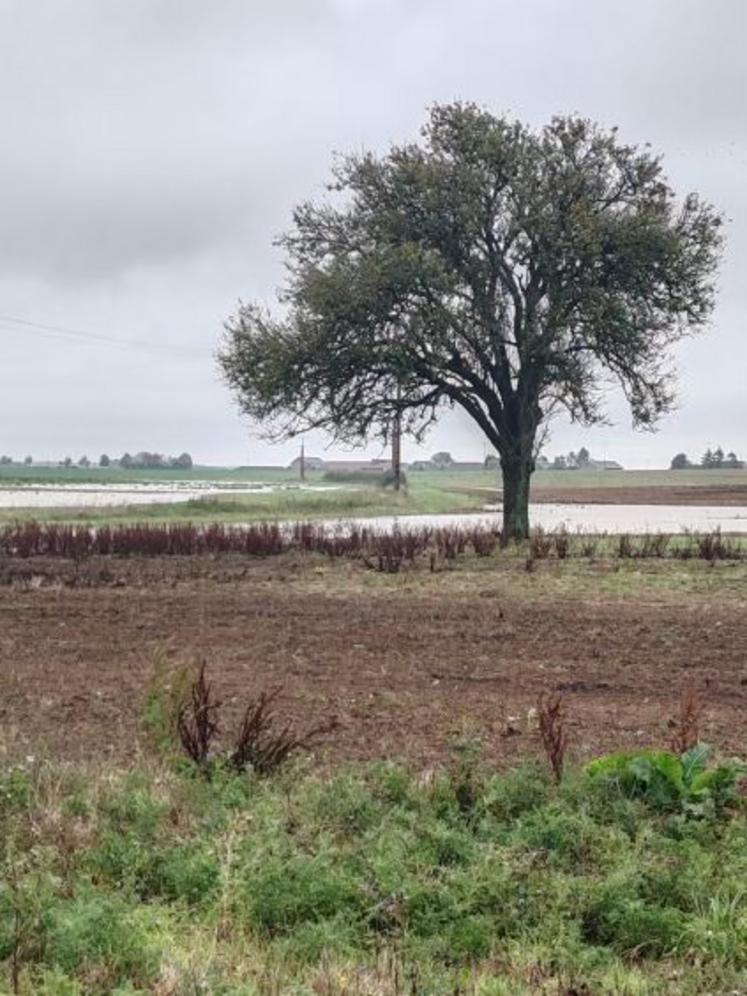 Champs inondés en Loir-et-Cher.