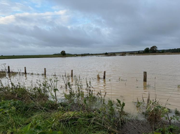 À Méréglise (Eure-et-Loir), une parcelle complètement submergée.