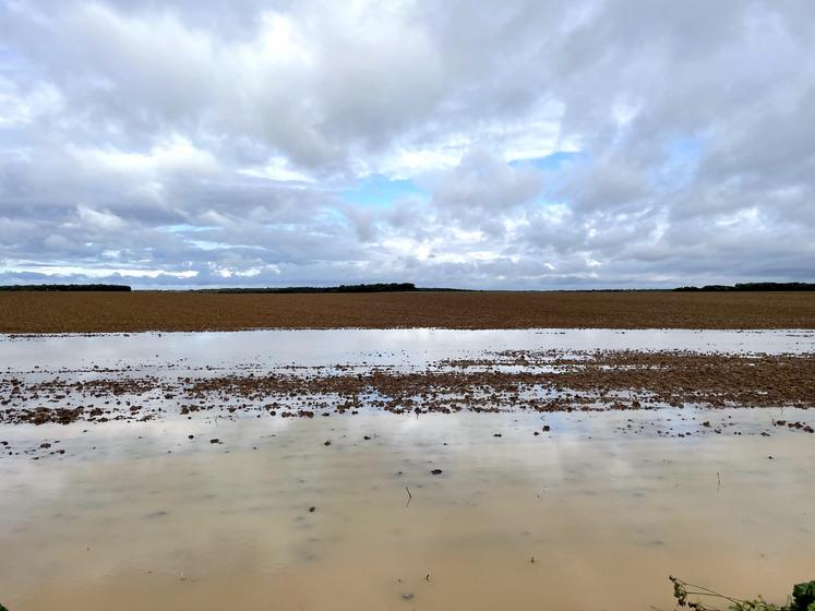 À Maintenon, une parcelle inondée jeudi 10 octobre 2024.