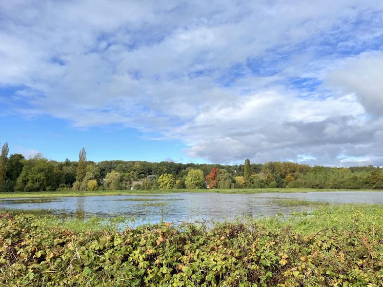 À Mévoisins (Eure-et-Loir), une prairie inondée jeudi 10 octobre 2024.