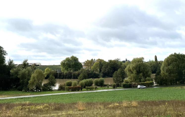 À Saint-Martin-de-Nigelles, toute l'étendue d'eau que l'on voit en ce jeudi 10 octobre 2024 est normalement une prairie avec des bovins.