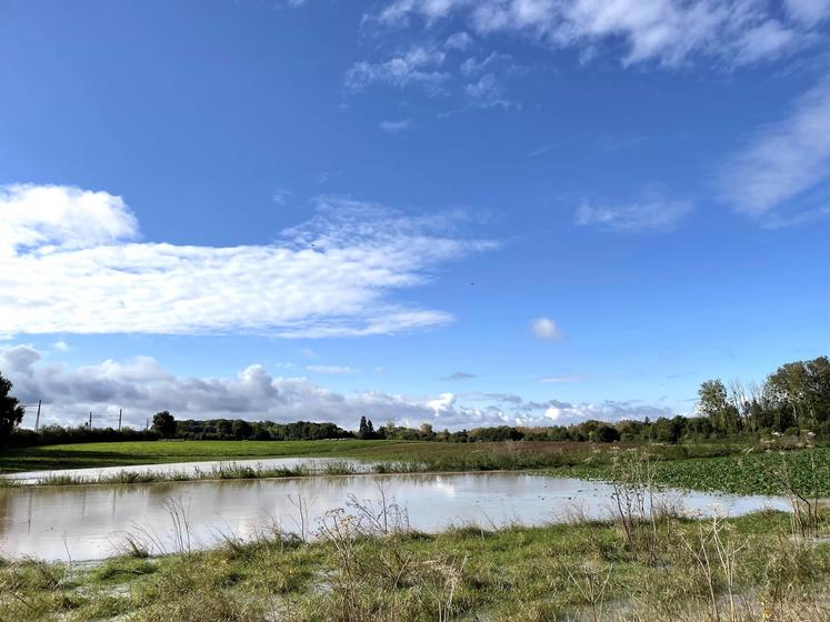 À Saint-Piat (Eure-et-Loir), des cultures sous l'eau, jeudi 10 octobre 2024.