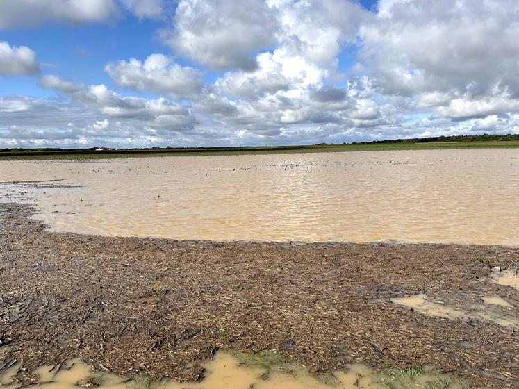 Des parcelles inondées dans le sud des Yvelines.