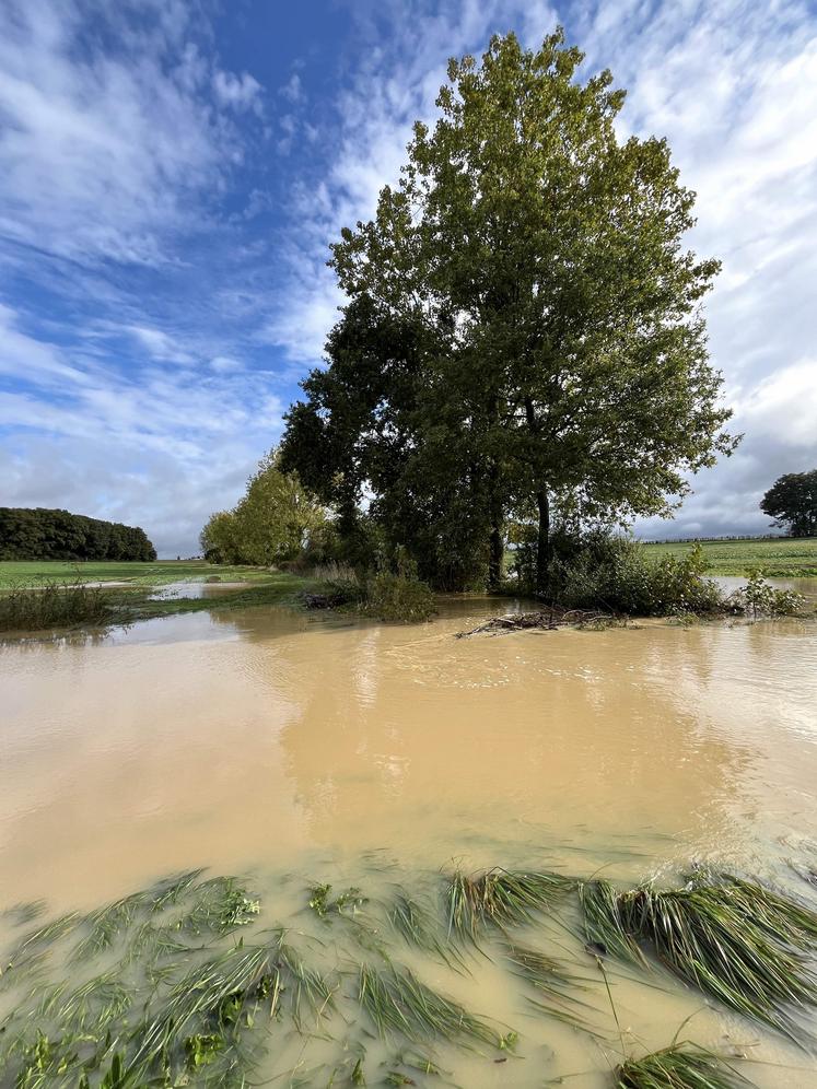 Des parcelles inondées dans le sud des Yvelines.