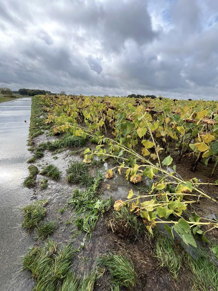 Dans le sud-Yvelines, les pluies ont été abondantes.