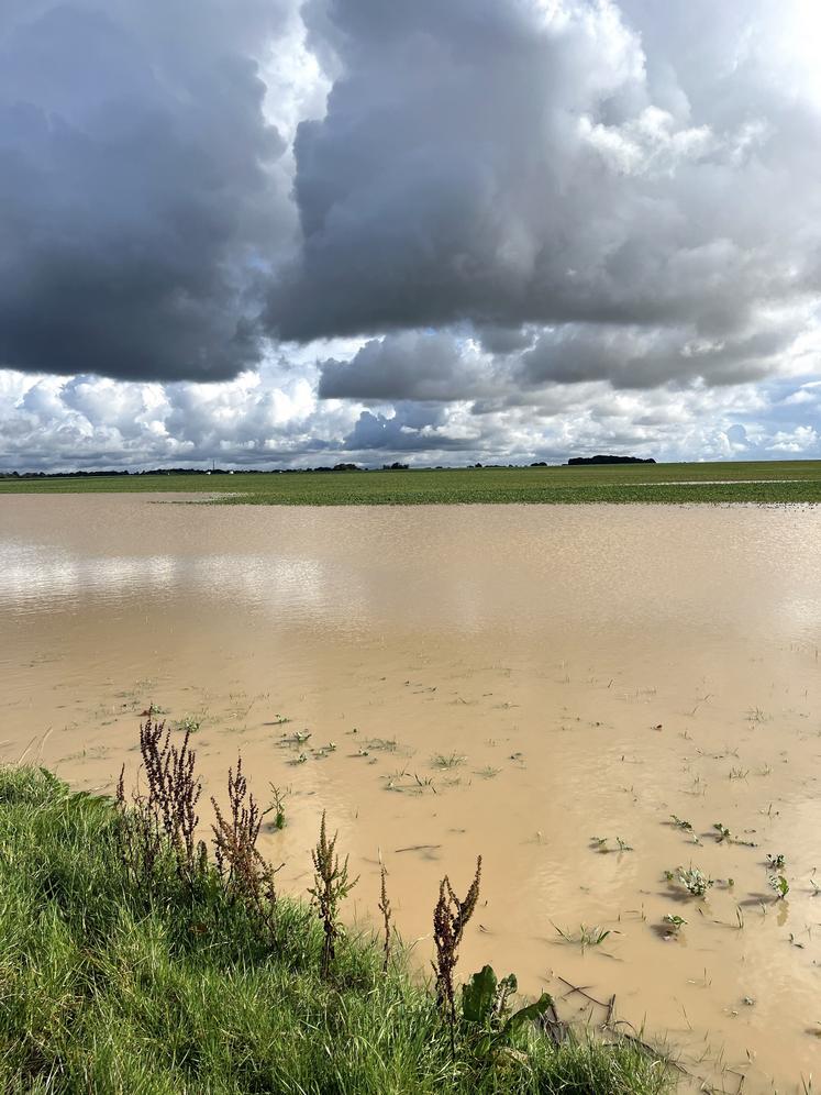Des parcelles inondées dans le sud des Yvelines.