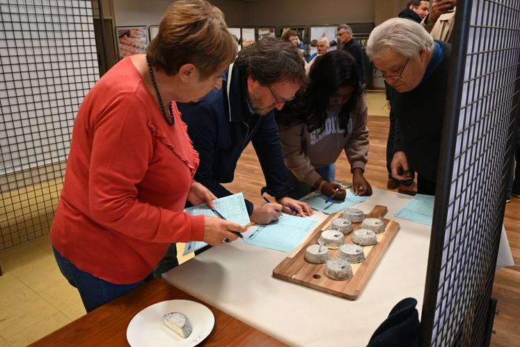 Avant de le déguster, les jurés du Concours régional de fromages ont pris le temps de noter l'aspect esthétique de chaque fromage présent sur leur table.