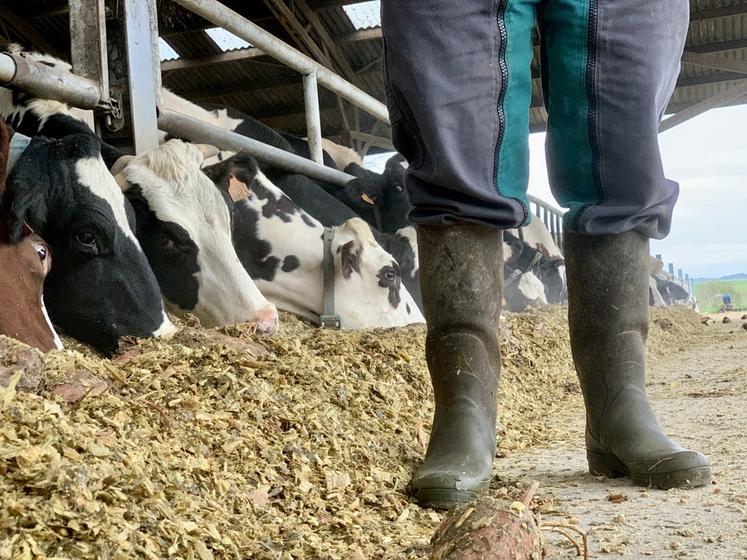Les éleveurs mettent en place des solutions pour être bien dans leurs bottes.