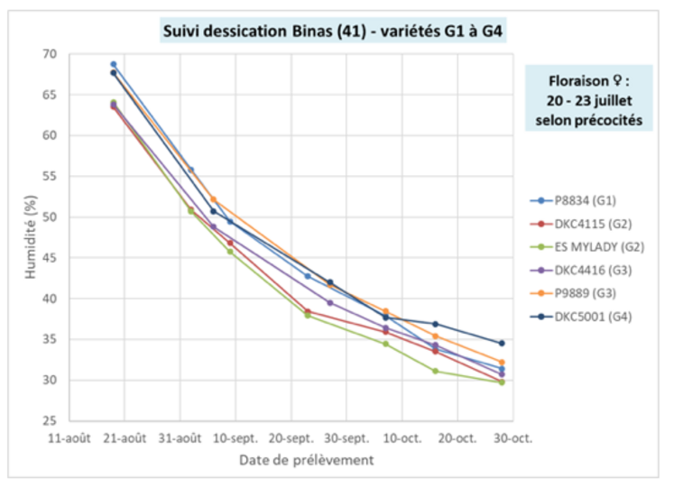 Dessiccation du grain dans le contexte 2024.