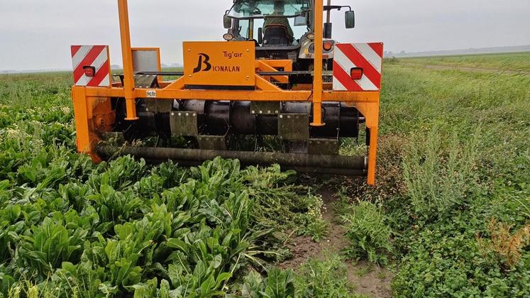 L’arracheuse Tig’air est composée d’un gros cylindre qui a pour but de rabattre les tiges des mauvaises herbes sur les rouleaux arracheurs. 